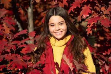 Sonbahar kızı yüzü güz yaprağı arka planında. 12, 13, 14 yaşlarında sonbahar çocuğu bir portre. Güzel sonbahar yapraklarında duran mutlu çocuğun yüzü.