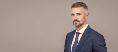 mature man with grizzled hair in formal suit copy space, formal. Man face portrait, banner with copy space