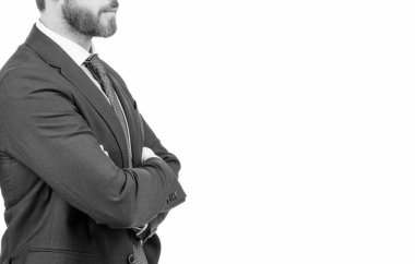 Herkes takım elbise içinde iyi görünüyor. Kendine güvenen yönetici resmi takım elbise giyer. Uygun adam manzarayı kırptı. Resmi kıyafet. İş elbisesi kuralı. Erkek biçimi, boşluğu kopyala.