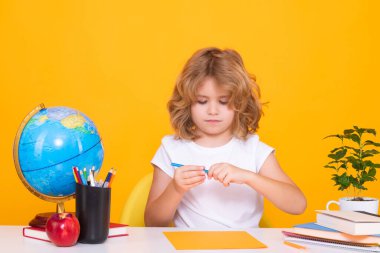 Back to school. Funny little boy from elementary school with book. Education