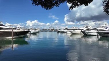 Miami yat turu. Yazın yat tatili. Marina körfezi. Deniz marinasında lüks bir karavan yatı. Navigasyon yatı. Miami sahilinde özel lüks bir tekne. Yaz tekne tatili. Özel hedef.