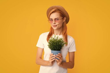 Woman planting flowers in pot. Gardening, flower planting concept. Woman or gardener planting flower pot