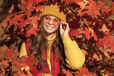 Sonbaharda genç bir kız çocuğu arka planda kalır. Sonbahar yapraklarında güneş gözlüğü takan pozitif çocuk..