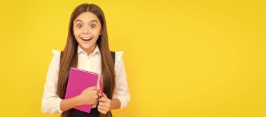 İleri düzey bir çalışma için. Şaşırmış kız rehberi. Okul eğitimi. Çalışmaya hazırım. Öğrenci pankartı. Kopya alanı olan öğrenci portresi