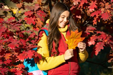 Sonbahar yapraklarında sırt çantalı gülen çocuk..