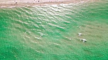 Miami kıyı şeridi. Miami güney sahili hava manzaralı. Deniz sahili kıyısı ve kıyı şeridi. Miami, Florida 'da yaz tatili. Sahilde deniz tatili. Biscayne Körfezi hava görüntüsü.