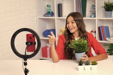 Blogculuk, video blogu. Telefon kaydı videosu olan genç bir çocuk blogcu. Nüfuzlu genç kız akıllı telefonun önünde konuşuyor. Mutlu kız yüzü, pozitif ve gülümseyen duygular
