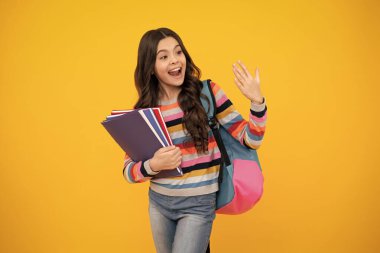 Kitapları ve defterleri olan mutlu liseli kız. Tecrit edilmiş bir geçmişi olan liseli kız öğrenci. Öğrenme ve bilgi. Git çalış. Eğitim kavramı