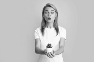 Güzel bir kadın kaktüs tenceresini izole edilmiş mavi arka planda tutuyor.