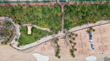 Palmiye ağacıyla Miami sahiline park et. Miami güney sahili hava manzaralı. Miami, Florida 'da yaz tatili. Sahilde deniz tatili. Park alanı hava görüntüsü. Miami kıyıları..