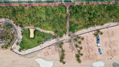 Palmiye ağacıyla Miami sahiline park et. Miami güney sahili hava manzaralı. Miami, Florida 'da yaz tatili. Sahilde deniz tatili. Park alanı hava görüntüsü. Miami kıyıları..