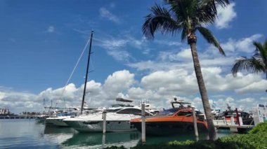 Yaz tatili. Lüks yat marinası. Lüks bir tekne. Marina, Miami Beach, ABD. Yat yolculuğu. Yat teknesi Biscayne Körfezi 'ne yanaştı. Lüks yatı olan Miami Marina şehir merkezinde. Özel turlar.