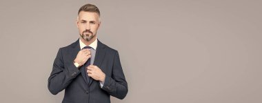 Man face portrait, banner with copy space. Going over details. professional unshaven ceo. mature boss. confident businessman in formalwear