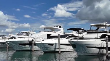 Lüks Güney Sahili marinası. Etkileyici yatı ve teknesi olan Miami marinası. Lauderdale Kanalı 'na demirlemiş lüks bir yat. Miami sahilinde lüks bir yat. Miami Beach, Florida 'daki Marina' da. VIP girişi.