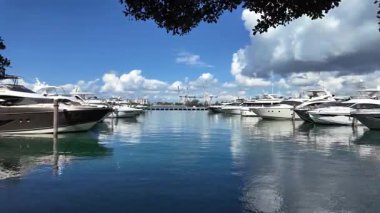 Lüks Güney Sahili marinası. Etkileyici yatı ve teknesi olan Miami marinası. Lauderdale Kanalı 'na demirlemiş lüks bir yat. Miami sahilinde lüks bir yat. Miami Beach, Florida 'daki Marina' da. Özel gezi.