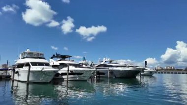 Marina körfezi. Deniz marinasında lüks bir karavan yatı. Navigasyon yatı. Miami sahiline demir atmış özel lüks bir tekne. Yaz tekne tatili. Yat yaşam tarzı. Yazın yat tatili. Özel turlar.