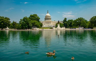 Meclis binası. ABD sembolü. Amerikan Senatosu. Amerikan başkenti. Washington DC ABD Kongre ve Senatosu