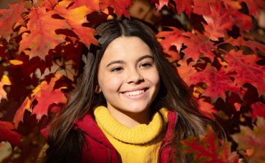 Sonbahar kızı yüzü güz yaprağı arka planında. 12, 13, 14 yaşlarında sonbahar çocuğu bir portre. Kırmızı sonbahar yapraklarının başında duran mutlu kız..