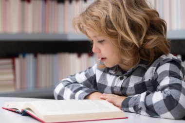 Eğitim, bilgi ve kitapçı konsepti. Çocuk kitapçıda ya da kütüphanede kitap okuyor.