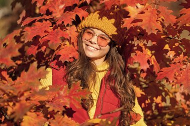 Sonbaharda genç bir kız çocuğu arka planda kalır. Sonbahar yapraklarında güneş gözlüklü neşeli kız..