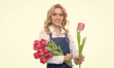 Önlüklü mutlu genç kadın beyaz arka planda yalıtılmış lale çiçekleri.