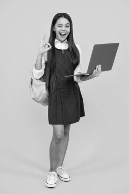 Komik surat. Liseli, dizüstü bilgisayarı sarı izole edilmiş stüdyo geçmişi olan genç kız. Çocuk okulu ve eğitim konsepti