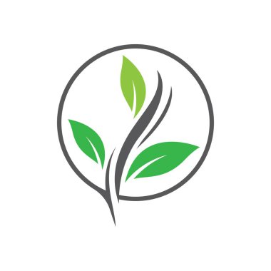 Yaprak logo resimleri çizimi tasarımı