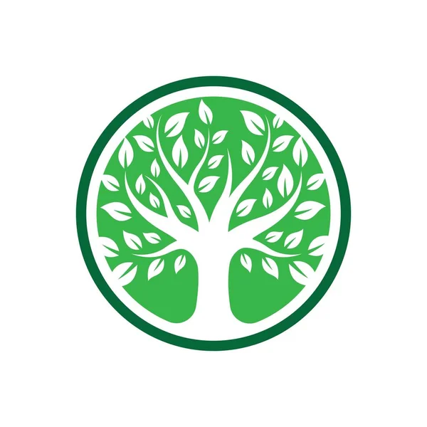 Árvore Logotipo Imagens Design Ilustração —  Vetores de Stock