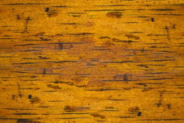 textured brown wood and black grain. This wood is very suitable for furniture or other household items. taken from close range. clipart