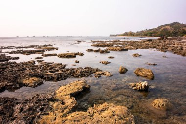 Sahildeki deniz mercanı kayaları, deniz kıyısındaki güzel doğal manzara..