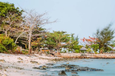 Alacakaranlık 'ta Peaceful Beach' in uzun pozu. Okyanusta Güzel bir gün.