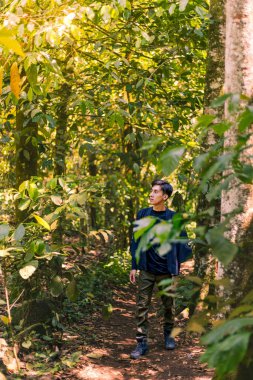 Solo Hiker, Serene Woodland 'da doğayla bağlantı kuruyor. Nefes Kesen Doğal Görünüm.