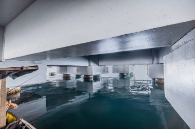 Okyanus Köprüsü Altında Balık Macerası. Sakin Deniz 'in Huzuru.