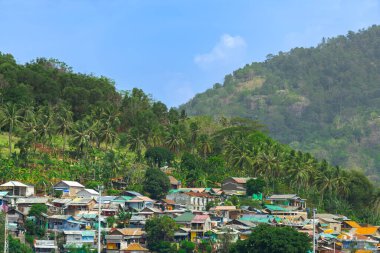 Tepedeki köyün manzarası, etrafını palmiye ağaçları sarmış. Güneşli bir günde köy