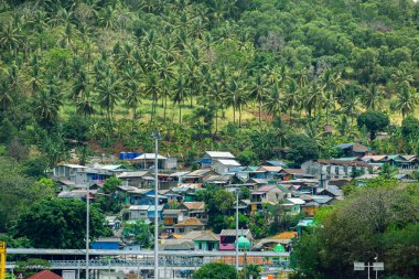 Tepedeki köyün manzarası, etrafını palmiye ağaçları sarmış. Güneşli bir günde köy