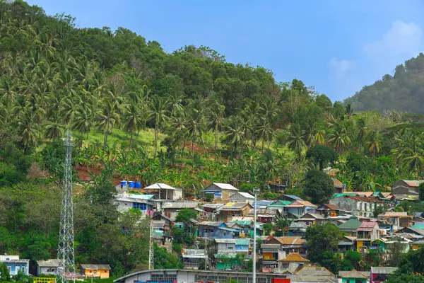 Tepedeki köyün manzarası, etrafını palmiye ağaçları sarmış. Güneşli bir günde köy
