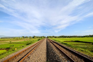Güneşli bir sabahta Yeşil Pirinç Tarlaları 'ndan geçen tren yolu. Açık Gökler Altındaki Pirinç Tarlalarından İki Taraflı Demiryolu Hattı. Huzurlu Sabah Manzarası Demiryolu Rayları ve Pirinç Tarlaları