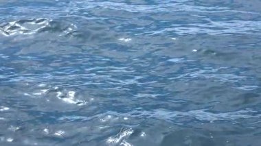 Yavaş Çekimde Okyanus Yüzeyi Dalgalanmaları 'nın yakın çekimi. Mavi Deniz Suyu Doğal Işıkta Dalgalanıyor