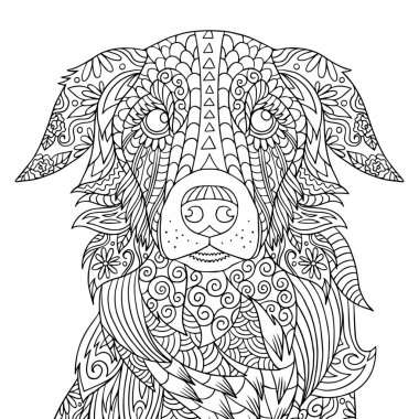 Yetişkinler için Golden Retriever boyama kitabı sayfası. Karalama ve zamazingo elementli vektör köpek portresi. El çizimi çizimi çizimi.