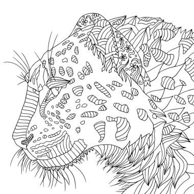 Detailed leopard portrait. Wildlife cat face vector hand drawn illustration. Coloring book page for adult with doodle and zentangle elements. clipart