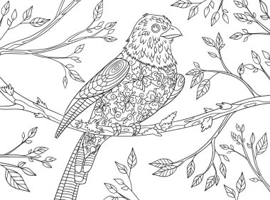 Kuşun üzerine soyut karalamalar çizilmiş anti-stres için yatay tek renkli kitap sayfası. Zentangle elementli vahşi yaşam vektör çizimi. Şirin kuş çizimi.