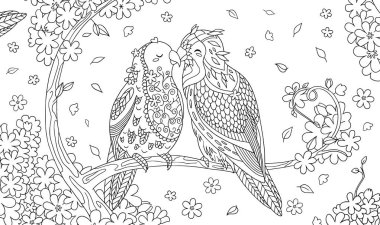 Sevimli kuşlar kiraz çiçeği ağacında birbirlerini öperler. Karalama ve çiçek karışımı elementlerle çizilmiş vektör çizimi. Yetişkinler için yatay pankart antistresi