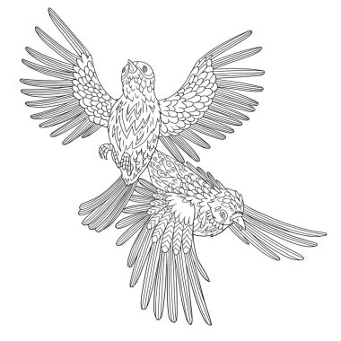 İzole edilmiş arka planda süs tüyleri olan iki egzotik kuş. Yetişkinler için çizgi roman sayfası karalama ve zamazingo elementleriyle. Vektör çizgisi çizimi.