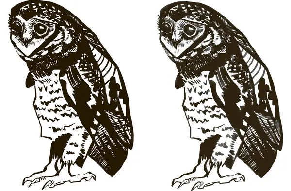 Çizgi çizimleri ayarlayın. Kuş baykuşu grafikleri, siyah beyaz hatlar, çizim kalem oyma stili. Ürün tasarımı için element, baskı. Karanlık, korkunç cadılar bayramı hayvan profili görünümü