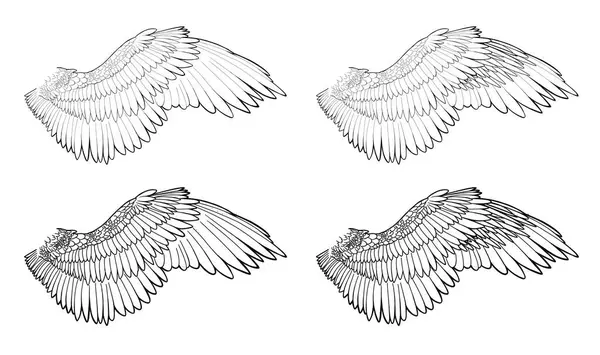 Doğrusal çizim melek kanatları el çizimi sanat elementi pegasus kanat papağan çizgisi sanat tüyleri baykuş kartal peri rengi kitap sayfası yaratıcı kavram kanadı dövme logosu