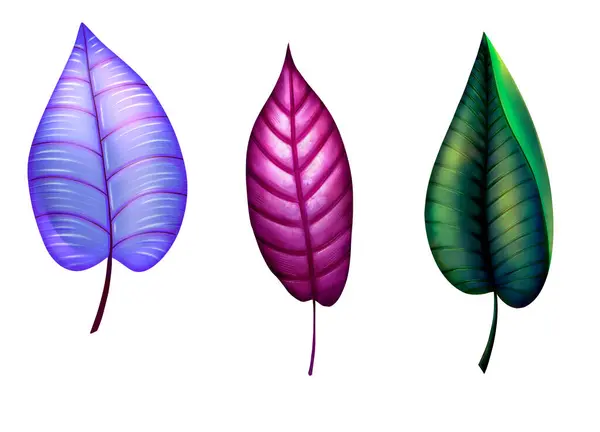 stock image Set plant colorful abstract leaveshand drawn isolated doodle graphics digital drawing clip art illustration tropical plants magic cartoon style fairytale contrast light