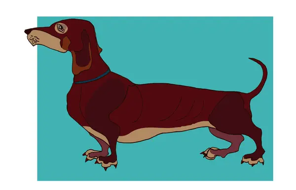Dachshund köpek hayvan hayvan vektör klip sanat profili görüntüsü. Koyu kahverengi köpek çizgi filmi resim klipsi sevimli hayvan avcısı köpek logosu evcil komik köpek yavrusu. Çocuk kitabı ögesi boyama sayfası sanat ana hatları evcil köpek hatları