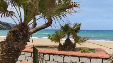 Sandy Beach Elba Adası Dalgaları ve Deniz Köpüğü Sahilde Şiddetli Rüzgar. Palm Trees Tropikal Bitkileri Deniz ve Dağların Arkasında. Mavi Turkuaz Suyu