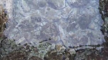 Su Altındaki Taşlar Titreşim Dalgaları Sahilde Kayalık Düz Arkaplan Doğa Şeffaf Deniz Suyu Kaya Sahili Doğa Video Duvar Kağıdı Pebble Plajı Sahil Taşları Şeffaf Kristal Su Taşları