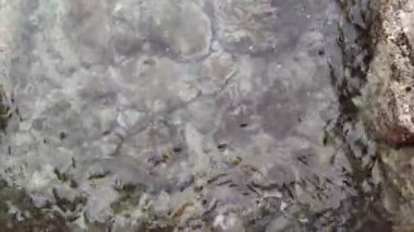 Su Altındaki Taşlar Titreşim Dalgaları Sahilde Kayalık Düz Arkaplan Doğa Şeffaf Deniz Suyu Kaya Sahili Doğa Video Duvar Kağıdı Pebble Plajı Sahil Taşları Şeffaf Kristal Su Taşları